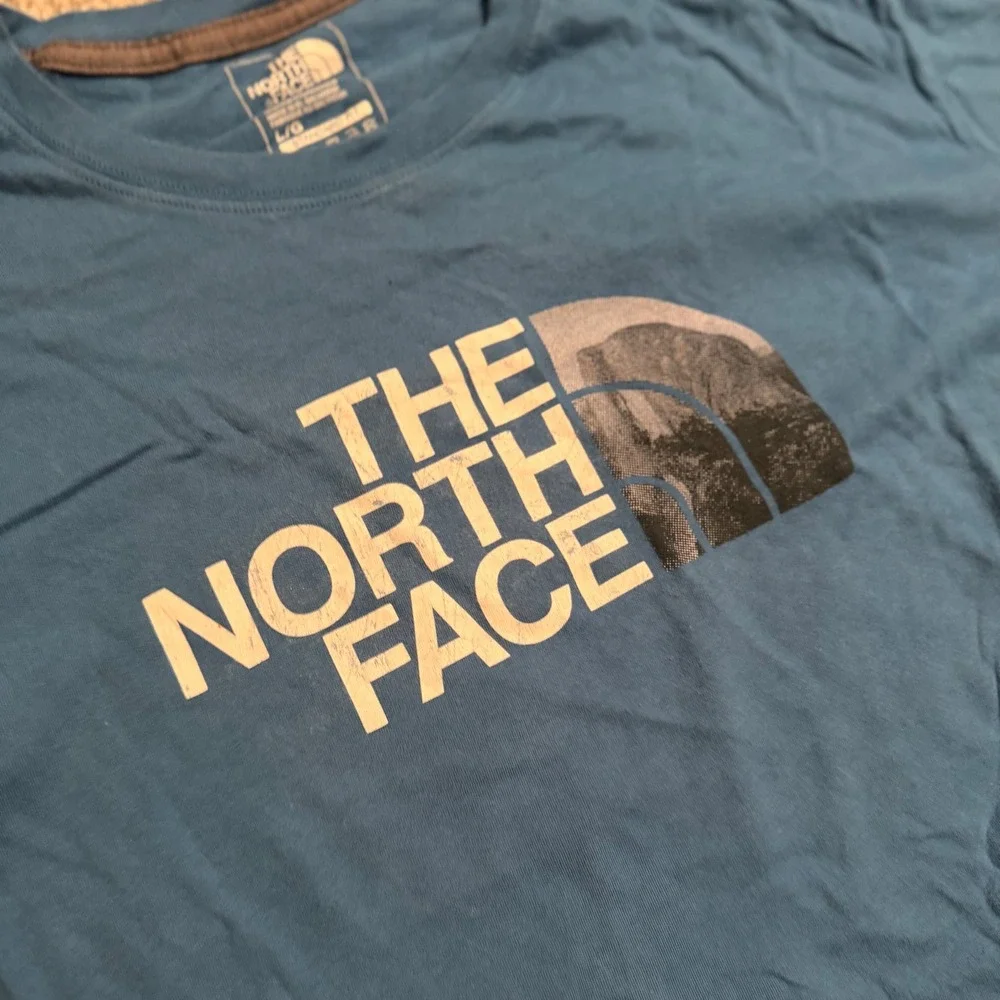 The North Face Mens Blue Graphic Logo Short Sleeve T-Shirt Large Standard Fit